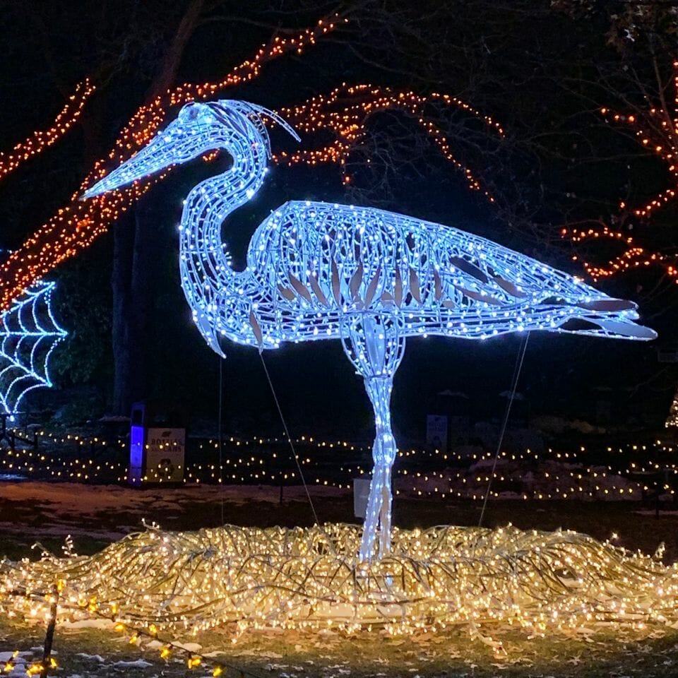 Wild Lights Light up your night this holiday season at the Detroit Zoo