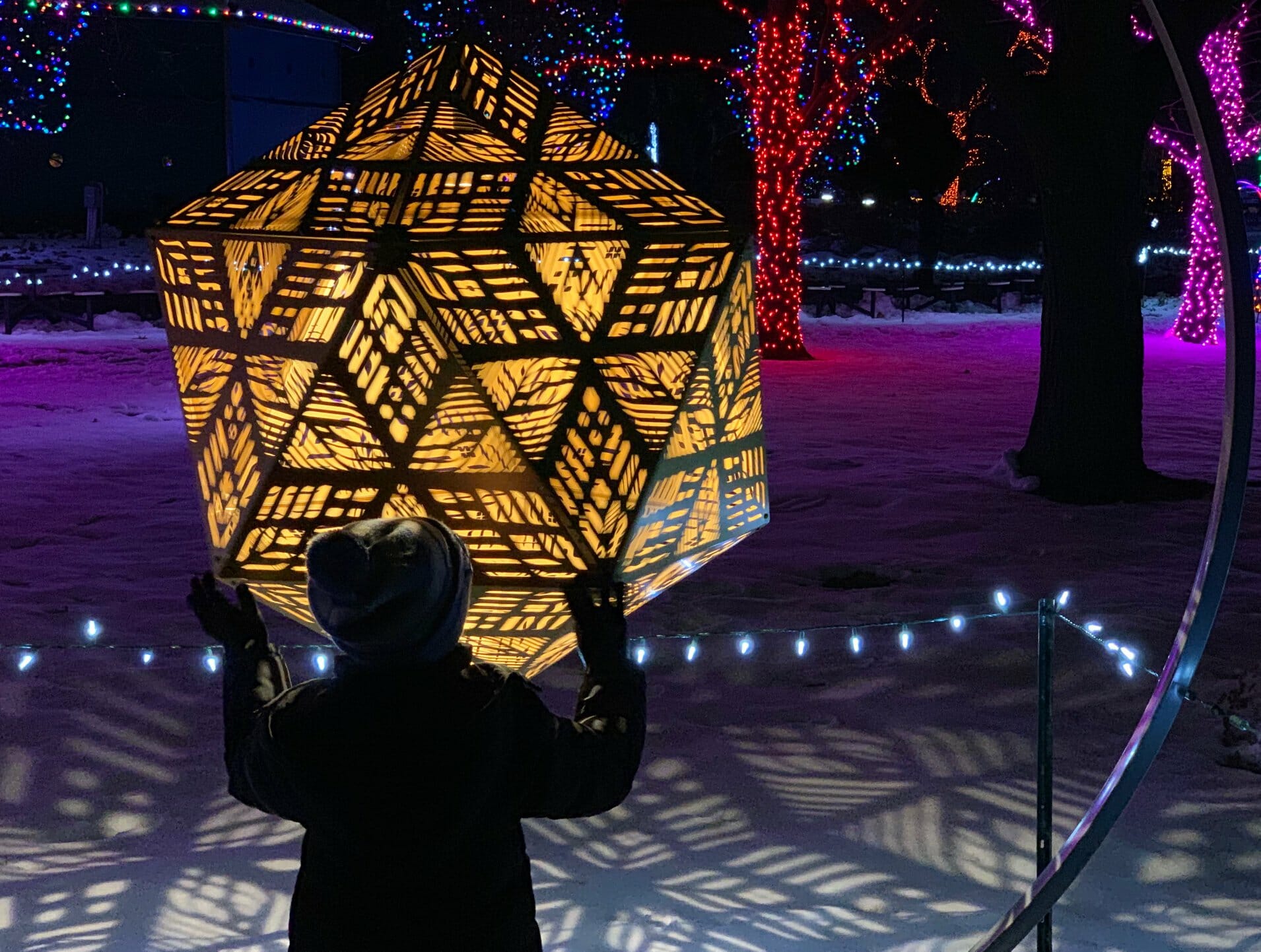 Wild Lights Light up your night this holiday season at the Detroit Zoo