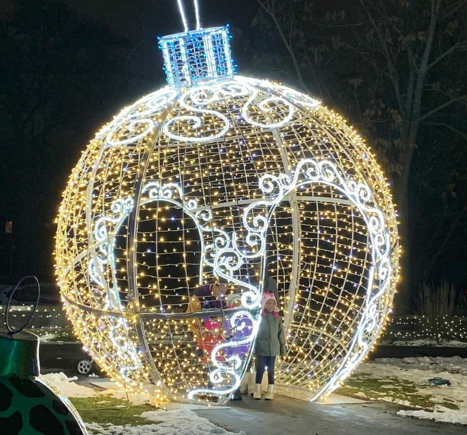 Wild Lights – Light up your night this holiday season at the Detroit Zoo