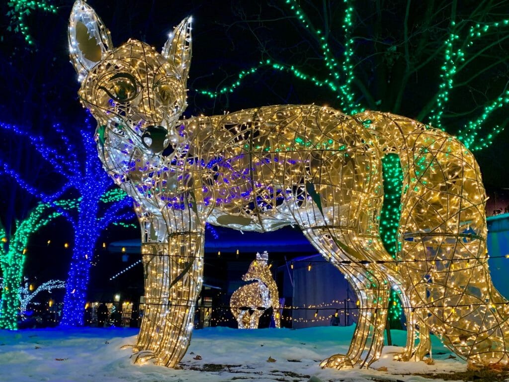 Wild LightsLight up your night this holiday season in the Detroit Zoo